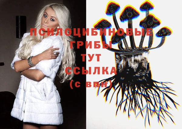 круглые Алексеевка